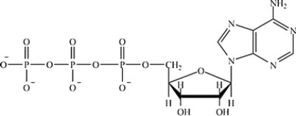 Which molecule contains the largest amount of stored energy? A)     B)     C)     D)    
