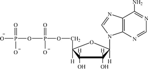 Which molecule contains the largest amount of stored energy? A)     B)     C)     D)    