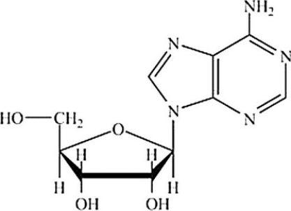 Which molecule contains the largest amount of stored energy? A)     B)     C)     D)    