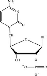 Which structure represents a nucleotide? A) B) C) D)