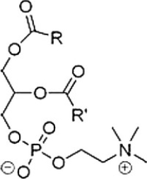 All except one of the statements below are true about the molecule given. Which statement is not correct?   A)  This molecule is a phospholipid and belongs to the general category of lecithins. B)  This molecule is a phospholipid and is generally found in fruits, vegetables, fish, liver, and dairy products. C)  This molecule contains two fatty acids and has at least one stereogenic center. D)  This molecule is a phospholipid that composes the main fabric of the insoluble barrier that protects the cell.