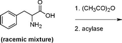 <strong>Below is a proposed method for resolving a racemic mixture of (R)- and (S)-phenylalanine. Upon separation of the products, will this method produce (R)- or (S)-phenylalanine? </strong> A) (S)-Phenylalanine is produced since the acylase only hydrolyzes the amides of D-amino acids. B) (R)-Phenylalanine is produced since the acylase only hydrolyzes the amides of D-amino acids. C) (S)-Phenylalanine is produced since the acylase only hydrolyzes the amides of L-amino acids. D) (R)-Phenylalanine is produced since the acylase only hydrolyzes the amides of L-amino acids.