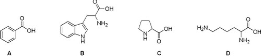 <strong>Which of the following compounds is not an amino acid? </strong> A) A B) B C) D D) C