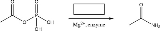 <strong>What reagent(s) would be needed to complete the following organic reaction? I. CH<sub>3</sub>NH<sub>2</sub> II. NH<sub>4</sub>Cl III. NH<sub>3</sub> IV. H<sub>2</sub>O  </strong> A) III B) II C) I D) IV <div style=padding-top: 35px> 