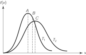  The figure here shows the distribution of molecular speeds of a gas for two temperatures T<sub>1</sub> and T<sub>2</sub>. The speed  \nu _ { A }  is   A)  the rms speed of the molecules whose temperature is T<sub>1</sub>. B)  the rms speed of the molecules whose temperature is T<sub>2</sub>. C)  the average speed of the molecules whose temperature is T<sub>1</sub>. D)  the average speed of the molecules whose temperature is T<sub>2</sub>. E)  the most probable speed of the molecules whose temperature is T<sub>1</sub>. 
