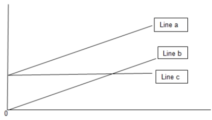 What does line a on the graph represent?   A)  Variable cost B)  Fixed cost C)  Total cost D)  Revenue