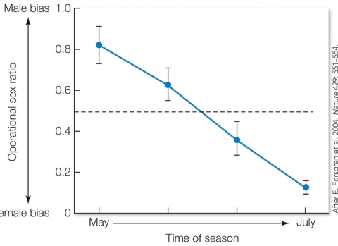 Refer to the figure.   These findings illustrate A)  Bateman's principle, where males have higher reproductive variance than females due to sex differences in mating behavior. B)  that sex roles can be dynamic and shift over the course of a single breeding season. C)  female parental investment impacts the operational sex ratio during the breeding season. D)  that sex role reversal is more likely to occur in species in predictable environments.