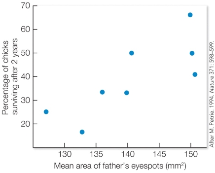 Refer to the figure.   Which model of sexual selection does this data support? A)  Direct benefits. B)  The good genes model of sexual selection. C)  The runaway selection model of sexual selection. D)  The chase-away selection model of sexual selection.
