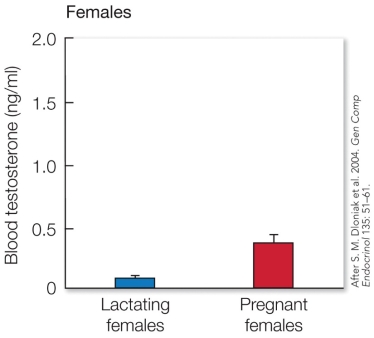 Refer to the figure.   These findings most directly support the A) by-product hypothesis, in which the pseudopenis developed as a by-product of some other adaptive change that had positive fitness effects. B) extra-androgen hypothesis, which states that the female pseudopenis develops as a result of the exposure in utero to elevated androgens. C) submission hypothesis, which states that the pseudopenis signals subordination or willingness to bond with other individuals. D) social-bonding hypothesis, which states that the pseudopenis promotes the formation of cooperative coalitions.