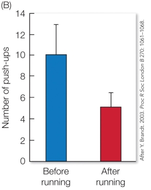 Refer to the figure.   Based on these results, the push-up threat display of male side-blotched lizards is a(n)  A)  deceitful signal that males use to fake a greater strength than they actually possess. B)  signal that other rival males eavesdrop on, thus incurring a cost to the displaying male. C)  honest signal that advertises the male's fighting capacity. D)  cue that transfers information but did not coevolve between the sender and receiver.