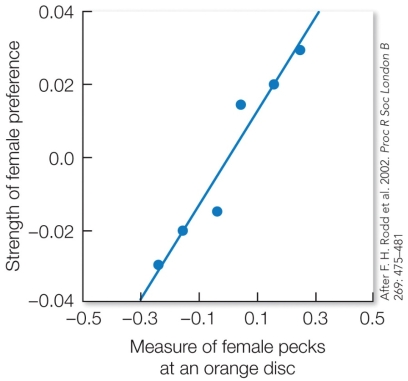 Refer to the figure.    Each data point on the graph represents a population of guppies. What can be inferred from the data concerning the female guppies' interest in orange foods and the male guppies' orange coloring? State a hypothesis for why males are orange.