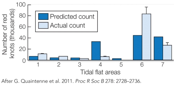 Refer to the figure.   Based on these results, which habitat is most preferred by the shorebirds? A)  5 B)  6 C)  6 and 7 are equally preferred D)  7