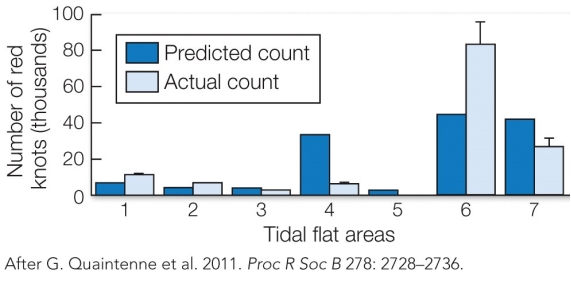 Refer to the figure.   Based on the ideal free distribution theory, you may predict that A)  the birds that are able to secure a territory on the preferred habitat have the highest reproductive success. B)  this shorebird exhibits sex-biased dispersal; while one sex remains on the preferred habitat, the other sex disperses amongst the other areas in order to reduce inbreeding. C)  the most preferred habitat also has the highest amount of intraspecific competition. D)  birds already established on the preferred habitat are in better condition and thus able to maintain their territories from any intruders.
