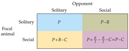 Refer to the figure.   The figure shows a matrix of fitness payoffs for interactions between two behaviorally different types of gulls: those that always fish for themselves and those that sometimes steal fish from others. P stands for the baseline fitness that a gull derives when it fishes for itself. B is the fitness gained by a thief when it steals a fish from a fish-for-self type. C is the fitness cost associated with an attempt to steal a prey. What causal question is the model designed to answer? A)  How can a hereditary thief phenotype spread in a population of fish-for-self types? B)  What are the fitness costs and fitness benefits of fish-for-self versus thief phenotypes? C)  When can group selection cause evolutionary change to take place? D)  What are the circumstances under which maladaptive traits can take over a population?