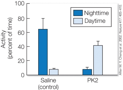 Refer to the figure.    Describe an experiment to test the hypothesis that PK2 is a key clock messenger responsible for regulating circadian behaviors. Base your experiment on the results shown below, which show activity levels for rats in two treatment groups. Explain your predictions if the hypothesis is supported, and if the hypothesis is not supported. Note that rats are usually active during the nighttime, and PK2 production is normally high during the daytime and low during the nighttime.