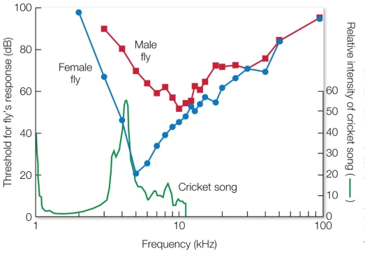 Refer to the figure.   Which sound frequency (kHz)  are the male flies most sensitive to? A)  2 B)  5 C)  10 D)  20