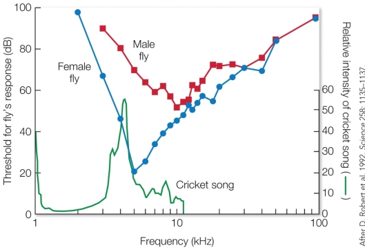 Refer to the figure.   The reaction of the female fly to sounds of _______ kHz best illustrates the concept of stimulus filtering. A)  2 B)  5 C)  10 D)  20