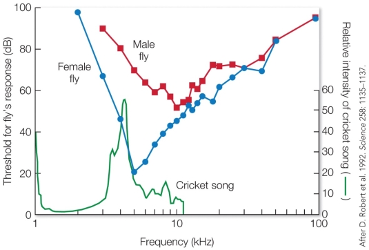 Refer to the figure.   If the data collected for the graph were not gathered simply to describe the hearing abilities of the fly, then (for the biologists who did the research)  the graph constitutes a A)  hypothesis on why the fly species has been able to survive to the present. B)  test of a prediction on fly hearing ability, based on the kind of sound frequencies produced by crickets. C)  check on the prediction that crickets should have evolved the ability to avoid their fly parasites. D)  test of the hypothesis that fly hearing abilities are designed to help the species maintain a stable or growing population.