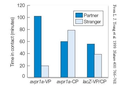 Refer to the graph.    Based on the results in the graph, describe an experiment to test for a genetic basis, specifically the role of vasopressin and the avpr1a gene, on the monogamous mating system of prairie voles.