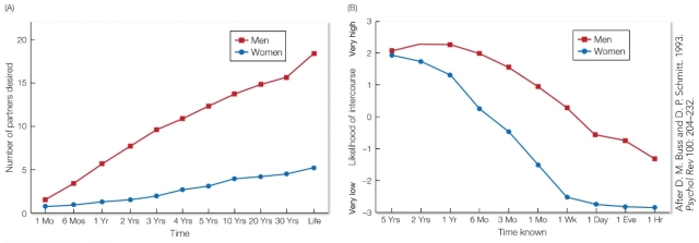 Refer to the figure.   Part A shows the number of sexual partners men and women report wanting over different periods of time, and Part B shows men's and women's estimates of the likelihood of agreeing to sexual intercourse with an attractive partner they have known for varying lengths of time. These results indicate that A)  women and men aligned in their interests for how many sexual partners they would like to have over different periods of time. B)  men wanted many more sexual partners in their lifetime than women, and were more willing to have sex with a desired partner after a shorter amount of time. C)  both men and women's willingness to have sex with a desired partner declined over time, though women's willingness declined more steeply. D)  men and women differed in their preferences for number of partners and willingness to have sex with a partner in the short-term, but aligned in the long-term.