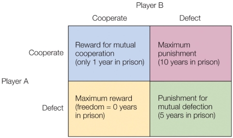 Refer to the figure.   The point of the prisoner's dilemma diagram is to A)  illustrate the adaptive value of cooperation between two individuals. B)  show that under most circumstances, reciprocity would probably be selected against. C)  predict that altruism rather than reciprocity explains why animals cooperate. D)  show why reciprocity is so common and widespread in the animal kingdom.