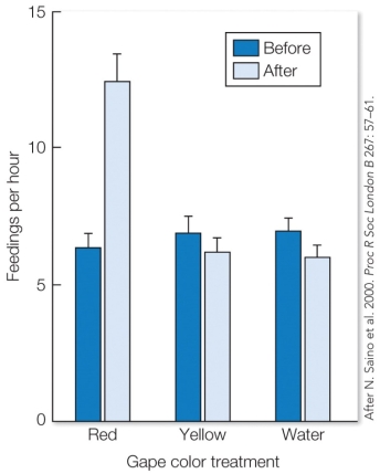 Refer to the figure.   If natural gape coloring is dietary, this experiment was most likely to test the prediction that A) parents preferentially feed offspring with bright red mouths because they are investing in nestlings of high reproductive value. B) parents preferentially feed offspring with bright red mouths because they use this as signature to recognize the chicks as their own. C) parents in low quality habitats preferentially feed red-mouthed male offspring because they are more likely to disperse. D) parents preferentially feed older offspring with more developed red mouths in order to facilitate facultative siblicide.