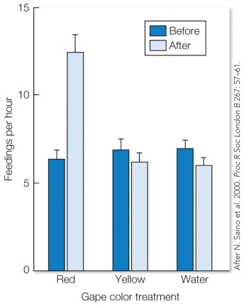 Refer to the figure.   If natural gape coloring is hereditary, this experiment was most likely to test the prediction that A)  parents preferentially feed offspring with bright red mouths because they are investing in nestlings of high reproductive value. B)  parents preferentially feed offspring with bright red mouths because they use this as signature to recognize the chicks as their own. C)  parents in low quality habitats preferentially feed red-mouthed male offspring because they are more likely to disperse. D)  parents preferentially feed older offspring with more developed red mouths in order to facilitate facultative siblicide.