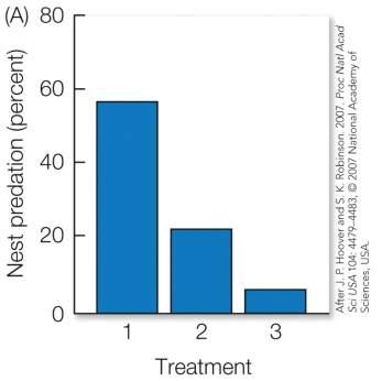 Refer to the figure.   These results show the occurrence of nest predation by cowbirds on prothonotary warblers. After cowbirds laid an egg in the nest, the nests were divided into three treatments: 1) The cowbird egg was removed, and the nest opening left as is. 2) The cowbird egg and the nest entrance were left as is. 3) The cowbird egg was removed, and the nest opening was made smaller to prevent cowbirds from entering. What hypothesis do these results support? A) The mafia hypothesis. B) The gradualist shift hypothesis. C) The local competition hypothesis. D) The signal of quality hypothesis.