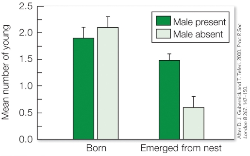 <strong>Refer to the figure.   Which hypothesis for monogamy do these results best support?</strong> A) The mate limitation hypothesis. B) The mate guarding hypothesis. C) The mate assistance hypothesis. D) The infanticide hypothesis. <div style=padding-top: 35px> 