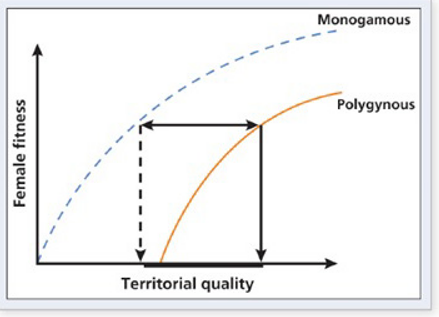 In the polygyny threshold model below, explain why the  Monogomous  line lies above the  Polygynous  line with respect to female fitness.    