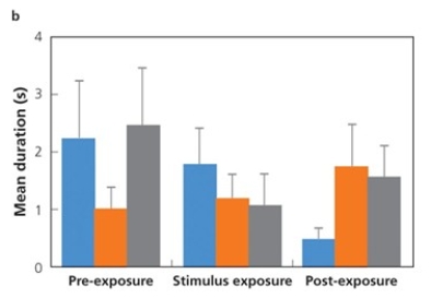 Which of the following best describes the results from this graph of mean duration of male spider chemoexplore from Uetz et al.'s research on spiders?     a. There was no effect of visual cues on male behavior b. There was no effect of seismic cues on male behavior c. There was no effect of multimodal cues on male behavior d. There was no effect of any experimental treatment on male behavior