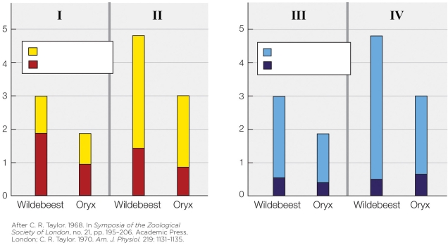Refer to the figure shown.   In which panel does the wildebeest appear to be most dependent on preformed water? A)  I B)  II C)  III D)  IV