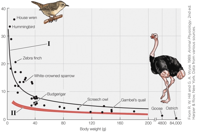 Refer to the figure shown.   The line indicated by the number I represents A)  total evaporative water loss. B)  cutaneous water loss. C)  respiratory water loss. D)  metabolic water production.