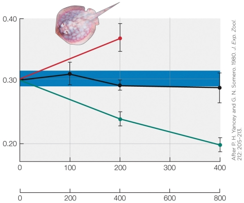 Refer to the Figure Shown | Biology+