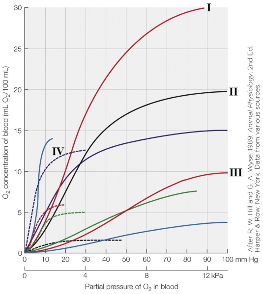 Refer to the figure shown.   Which oxygen dissociation curve in the figure carries the least amount of oxygen per unit volume of blood? A) I B) II C) III D) IV