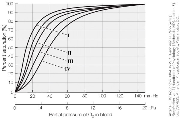 Refer to the figure shown.   On the graph, which oxygen dissociation curve represents a very high blood pH (e.g., 7.6)? A) I B) II C) III D) IV