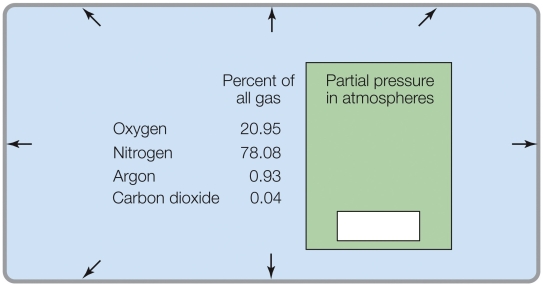 Refer to the figure shown.   According to the data in the figure, the partial pressures at sea level total A)  1 atm. B)  0.5 atm. C)  100%. D)  1 kPa.