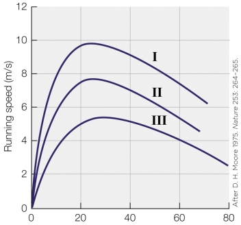 Refer to the figure shown.   What is the most logical label for the x axis? A)  Age (years)  B)  Development (days)  C)  Force (N)  D)  Velocity (m/s) 