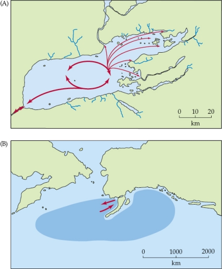Refer to the figure shown.   Choose the correct order of the life cycle illustrated in the panels: 1)  Live in lake 2)  Live in ocean 3)  Migrate from ocean to lake 4)  Migrate from lake to ocean 5)  Young hatch in lake 6)  Young hatch in ocean 7)  Spawn in lake 8)  Spawn in ocean A)  5 → 1 → 4 → 2 → 3 → 7 B)  6 → 2 → 3 → 1 → 4 → 8 C)  6 → 3 → 1 → 7 → 4 D)  5 → 4 → 2 → 3 → 1 → 7