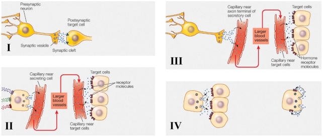 Refer to the Figure Shown | Biology+