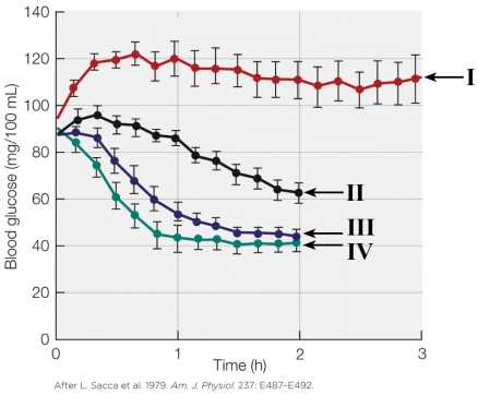 Refer to the figure shown.   Which plot line on the graph likely represents an insulin-only treatment? A)  I B)  II C)  III D)  IV