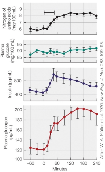 Refer to the figure shown.   If all of the panels in the figure represent data from one treatment, this treatment was most likely A)  fasting. B)  fasting and ingestion of a high-carbohydrate meal. C)  fasting and ingestion of a high-protein meal. D)  fasting and ingestion of a high-fat meal.