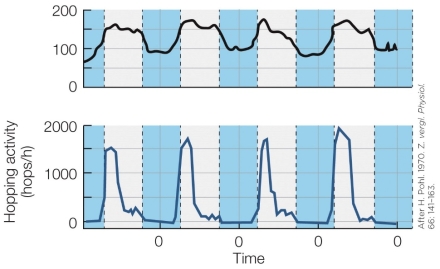 Refer to the figure shown.   Which label is not appropriate for the y-axis of the figure? A)  Growth B)  Metabolic rate C)  Oxygen consumption D)  Urine output