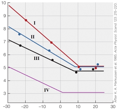 Refer to the figure shown.   What does the figure show? A)  Changes in fur thickness as a function of temperature in four different species B)  Changes in metabolic rate as a function of temperature in different seasons C)  Changes in nonshivering thermogenesis as a function of temperature in different aged animals D)  Changes in metabolic rate as a function of temperature in different aged animals