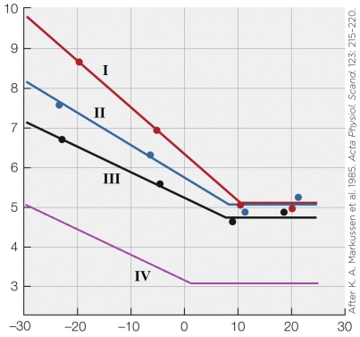 Refer to the figure shown.   Which line most closely approximates an adult animal in the summer season? A)  I B)  II C)  III D)  IV