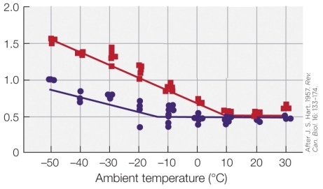 <strong>Refer to the figure shown. One species of homeotherm under two different environmental conditions was exposed to temperature changes.   What is the most appropriate label for the y axis?</strong> A) Maximum metabolic rate B) Resting metabolic rate C) Body temperature D) Membrane-lipid fluidity <div style=padding-top: 35px> 