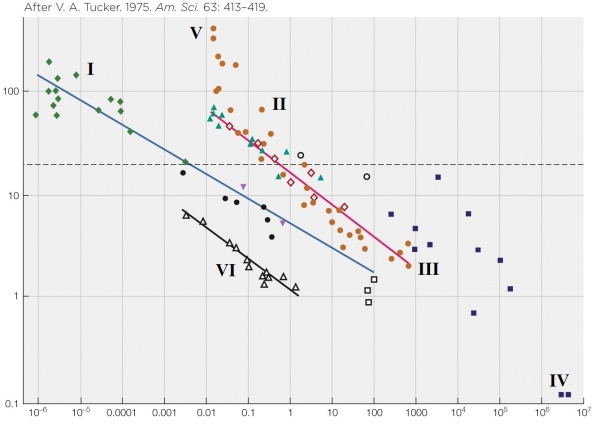 Refer to the figure shown.   Choose the most appropriate units for the y axis. A)  J/m•s B)  J/h•g C)  J/m•kg D)  J/g•h