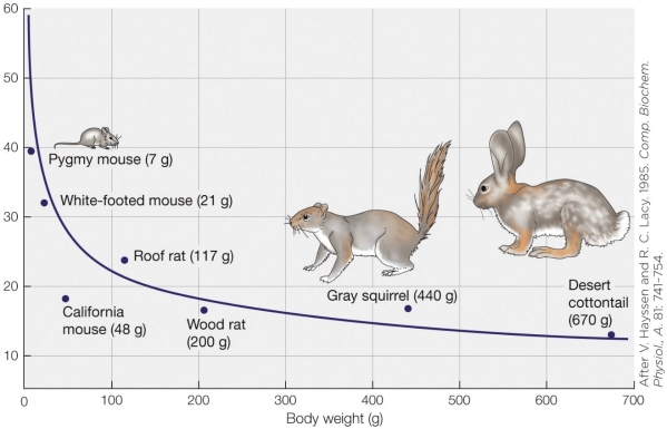 Refer to the figure.   Based on the graph, change the scale of both axes and change the y axis units to be non-mass-specific. What is the best description of the line that fits the replotted data? A)  A straight line that begins low on the y axis and increases moving along the x axis B)  A straight line that begins high on the y axis and decreases moving along the x axis C)  Very similar shape to the plot above with different units on the y axis D)  An exponential curve that begins low on the y axis and increases moving along the x axis
