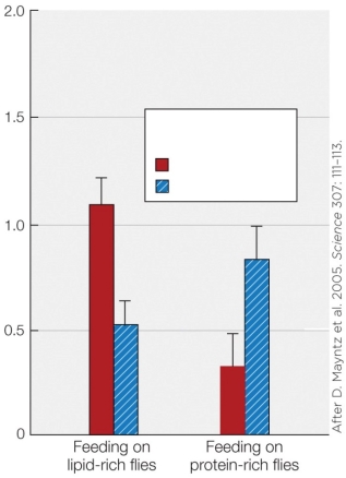 Refer to the figure shown.   What is the best label for the y axis? A)  Food amount eaten (mg)  B)  Metabolic rate (J/mg/h)  C)  Activity (Watts/h)  D)  Percent protein or lipid