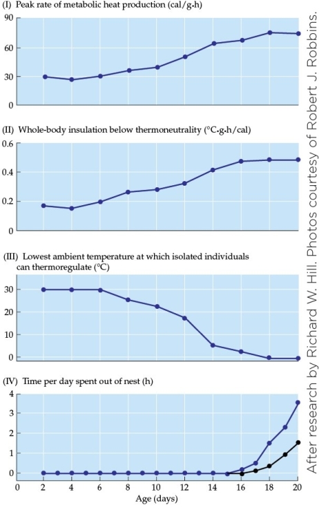 Refer to the graphs shown.   The patterns in figures _______ and _______ are fundamental drivers of the pattern observed in figure _______. A)  III, IV, II B)  I, III, IV C)  I, II, III D)  II, IV, I